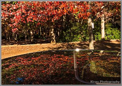 image by Kirms Photography Reflection On Car Roof